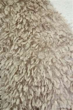 画像4: Dukkah  / ファーブルゾン T-20-09-16-31004-1-CO-CA-L-IW-ZT-C001