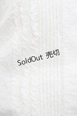 画像5: INGEBORG / 総刺繍リボンブラウス  キナリ I-25-12-02-018-LO-BL-SA-ZI