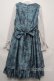 画像2: Victorian maiden  / Wunder gardenビスチェドレス S-23-02-18-1022s-1-OP-CL-L-UT-ZS (2)