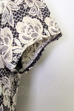 画像4: LOLITAその他  / レース総柄ワンピース I-23-05-27-4017-1-OP-LO-L-HD-ZT081