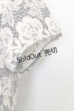 画像4: 【SALE】LOLITAその他  / レース総柄ワンピース I-23-05-27-4017-1-OP-LO-L-HD-ZT081