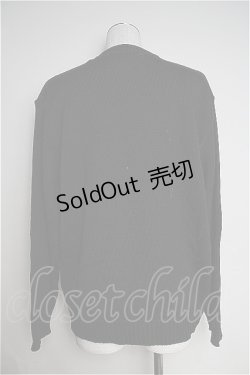 画像2: Karl Helmut  / テリアニットトップス I-23-06-03-063-1-TO-LO-L-HD-ZT401