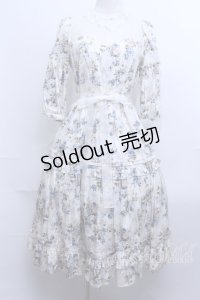Victorian maiden  / ロココブーケレーシードールドレス S-23-06-05-028s-1-OP-CL-L-AS-ZS-R