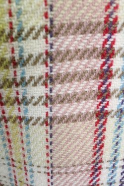 画像11: PINK HOUSE  / ハートローズ刺繍チェックジャケット I-23-08-11-4010-1-JA-LO-L-HD-ZT189
