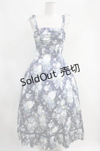Victorian maiden  / ハーヴェストローズロングドレス H-23-09-21-1012h-1-OP-CL-L-NS-ZH-R