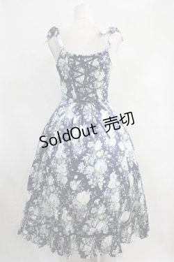 画像2: Victorian maiden  / ハーヴェストローズロングドレス H-23-09-21-1012h-1-OP-CL-L-NS-ZH-R
