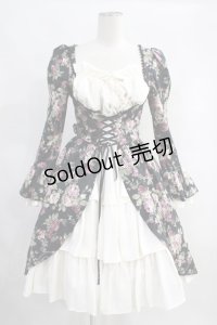 Victorian maiden  / ロイヤルフリルドールドレス H-23-09-21-1016h-1-OP-CL-L-NS-ZH-R