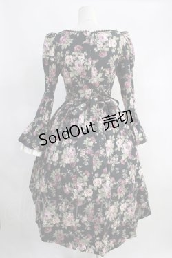 画像2: Victorian maiden  / ロイヤルフリルドールドレス H-23-09-21-1016h-1-OP-CL-L-NS-ZH-R