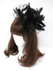 画像1: 【新品】羽根ミニシルクハット HA_208_B131【通信販売専用商品】 (1)