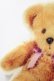 画像4: 【訳あり】【20%OFF】 クマワッペン2Way HA_030_B148