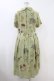 画像2: Jane Marple Dans Le Saｌon / scottish scarfのガーデンドレス H-23-10-10-007-JM-OP-KB-ZT270 (2)