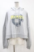 Candy Stripper / DRAMATIC HOODIE 2 グレー H-24-03-06-1048-PU-TO-KB-ZH