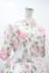 画像4: Jane Marple Dans Le Saｌon / La vie en roseシャツドレス  オフホワイト H-24-04-09-1005-JM-OP-KB-ZH (4)