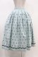画像2: Jane Marple Dans Le Saｌon / Clover Embroideryキャトルタックスカート  サックス H-24-04-15-1009-JM-SK-KB-ZH (2)