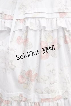 画像4: Victorian maiden / イングリッシュベリーリボンティアードロングドレス Free サックス H-24-11-16-028-CL-OP-NS-ZH