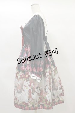 画像3: Royal Princess Alice / 大正浪漫ニャンコ日和（たまコラボ）セーラーワンピース Free ブラック H-25-01-14-083-LO-OP-NS-ZH