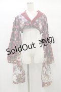 Royal Princess Alice / 大正浪漫ニャンコ日和（たまコラボ）振袖ジャケット Free レッド H-25-01-14-092-LO-OP-NS-ZH
