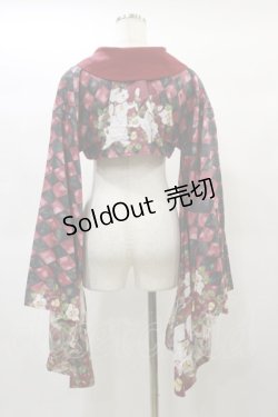 画像2: Royal Princess Alice / 大正浪漫ニャンコ日和（たまコラボ）振袖ジャケット Free レッド H-25-01-14-092-LO-OP-NS-ZH