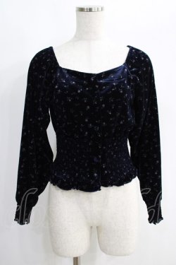 画像1: Candy Stripper / FLOWER VELOUR   ネイビー H-25-01-16-050-PU-TO-KB-ZT107