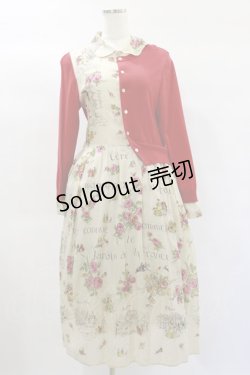 画像1: Jane Marple Dans Le Salon / Val de Loireリメイクドレス  light beige×red H-25-01-20-1070-JM-OP-KB-ZH