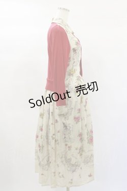 画像4: Jane Marple Dans Le Salon / Val de Loireリメイクドレス  light beige×red H-25-01-20-1070-JM-OP-KB-ZH