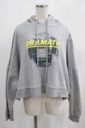 Candy Stripper / DRAMATIC HOODIE 2 グレー H-25-01-23-3042-PU-TO-KB-ZH