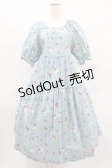 PINK HOUSE / ピーターラビット柄ミディ丈ワンピース  サックス H-25-01-26-1043-LO-OP-NS-ZH