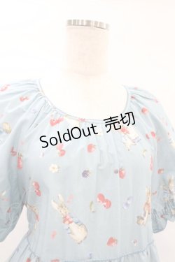 画像4: PINK HOUSE / ピーターラビット柄ミディ丈ワンピース  サックス H-25-01-26-1043-LO-OP-NS-ZH