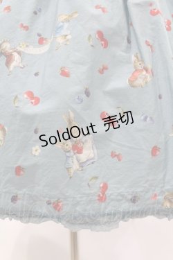 画像5: PINK HOUSE / ピーターラビット柄ミディ丈ワンピース  サックス H-25-01-26-1043-LO-OP-NS-ZH