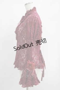 画像2: metamorphose / レース姫袖ブラウス Free ボルドー H-25-02-03-050-ME-BL-NS-ZH