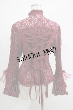 画像3: metamorphose / レース姫袖ブラウス Free ボルドー H-25-02-03-050-ME-BL-NS-ZH