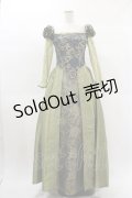 Secret Honey / Library Dress(Beauty and the Beast ver)  Free グリーン H-25-02-14-042-CA-OP-NS-ZH