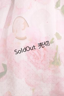 画像4: MILK / Jilted Roseドレス  アプリコット H-25-02-15-015-ML-OP-KB-ZT161