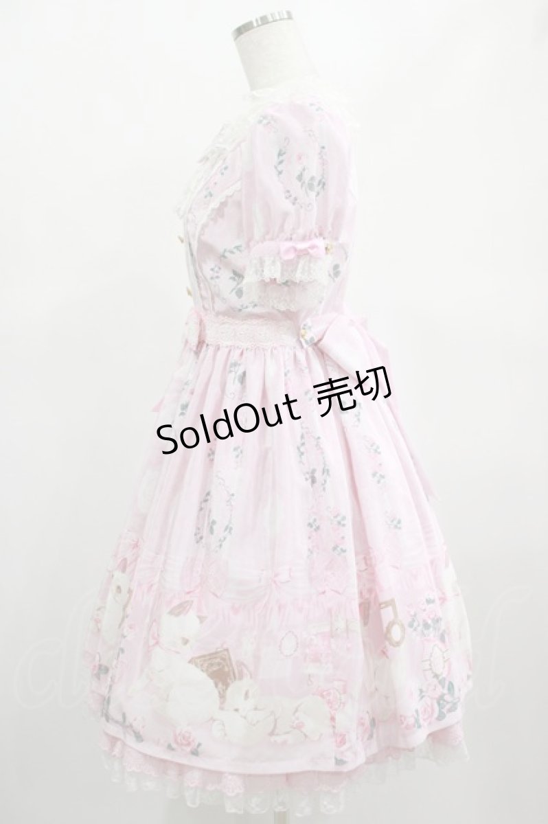 画像2: Angelic Pretty / Romantic Catワンピース Free ピンク H-25-02-16-006-AP-OP-NS-ZH (2)