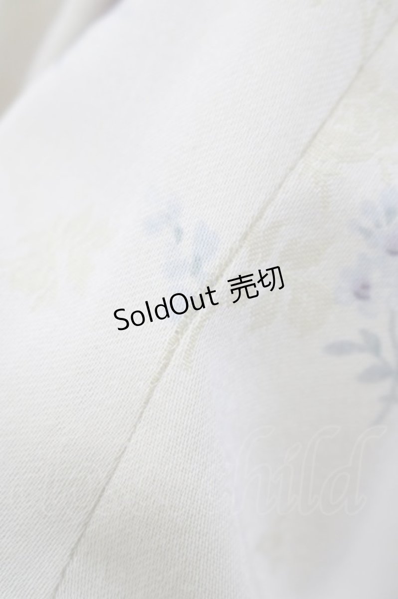 画像6: Mary Magdalene / ロズリーヌワンピース Free アイリス H-25-02-18-005-CL-OP-NS-ZH (6)