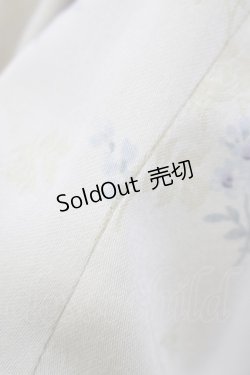 画像6: Mary Magdalene / ロズリーヌワンピース Free アイリス H-25-02-18-005-CL-OP-NS-ZH