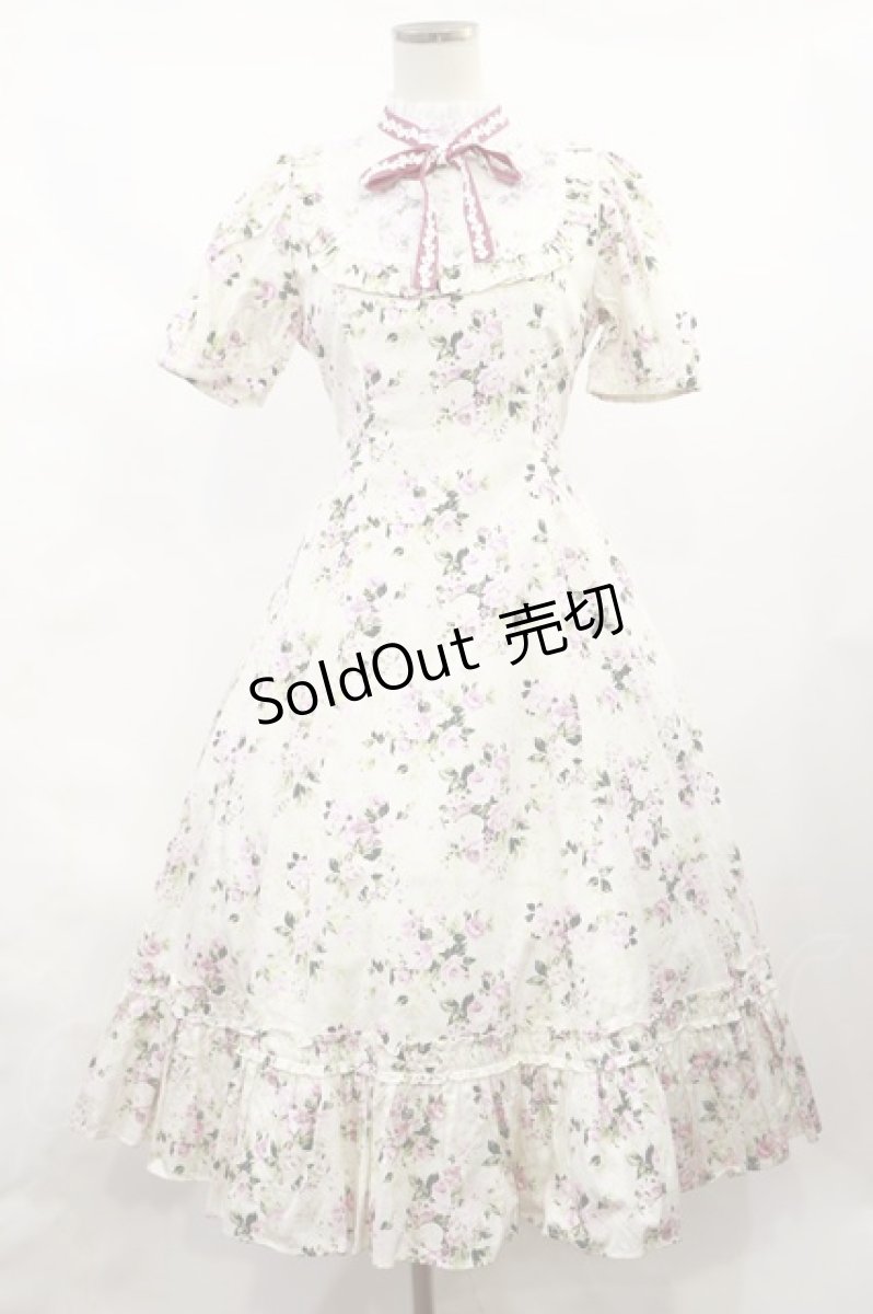 画像1: Victorian maiden / ロココブーケレースフリルドレス Free ペールピンク H-25-02-25-1011-CL-OP-NS-ZH (1)