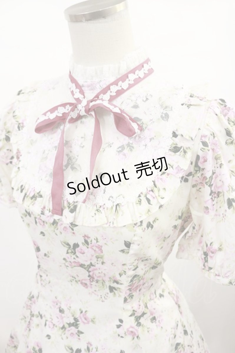 画像4: Victorian maiden / ロココブーケレースフリルドレス Free ペールピンク H-25-02-25-1011-CL-OP-NS-ZH (4)