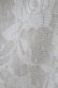 画像3: axes femme POETIQUE / ドットチュールトップス M アイボリー H-25-03-02-1059-AX-TO-NS-ZH (3)