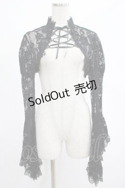画像1: DARK IN LOVE / Gothic sexy big sleeves lace cape M 黒 H-25-03-02-057-PU-TO-KB-ZH