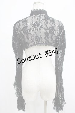 画像3: DARK IN LOVE / Gothic sexy big sleeves lace cape M 黒 H-25-03-02-057-PU-TO-KB-ZH
