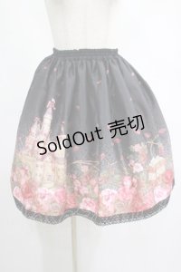 Enchantlic Enchantilly / いばら姫のスカート Free ブラック H-25-03-03-022-LO-SK-NS-ZH