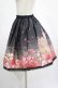 画像2: Enchantlic Enchantilly / いばら姫のスカート Free ブラック H-25-03-03-022-LO-SK-NS-ZH (2)