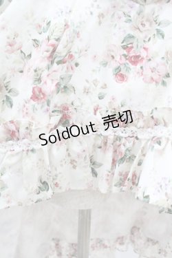 画像5: Victorian maiden / ロココブーケロイヤルオーバードレス Free ロココピンク H-25-03-11-1016-CL-OP-NS-ZH