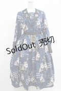 Royal Princess Alice / PUNK CATワンピース Lサイズ 青チェック H-25-03-11-003-LO-OP-NS-ZH
