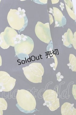 画像3: Jane Marple / Lemon Lime folkyドレス M ネイビー H-25-03-12-076-JM-OP-KB-ZH