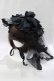 画像1: MARBLE / ベール付リボンボンネット  黒 H-25-03-13-027-GO-AC-KB-ZH (1)