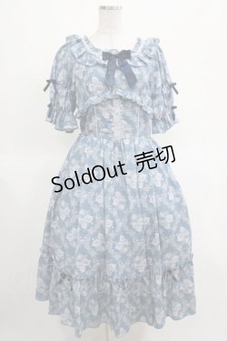 画像1: axes femme kawaii / クラシックローズワンピース M ブルー H-25-03-14-002-AX-OP-NS-ZH