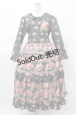 画像1: ANGELIQUE ROSA / ローズプリントロングワンピース Free グリーン H-25-03-16-041-LO-OP-NS-ZH