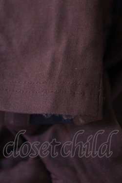 画像3: Rozen Kavalier / 羽根刺繍編上げパンツ  茶 H-25-03-17-1009-OO-PA-KB-ZH